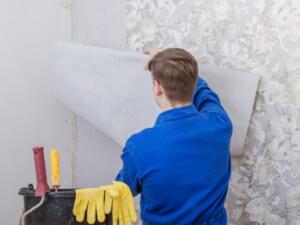 expert wallpaper fixing