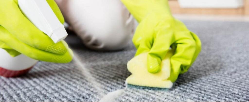 why professional carpet cleaning is important