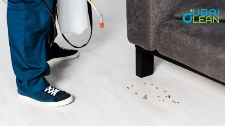 dubaiclean pest control services
