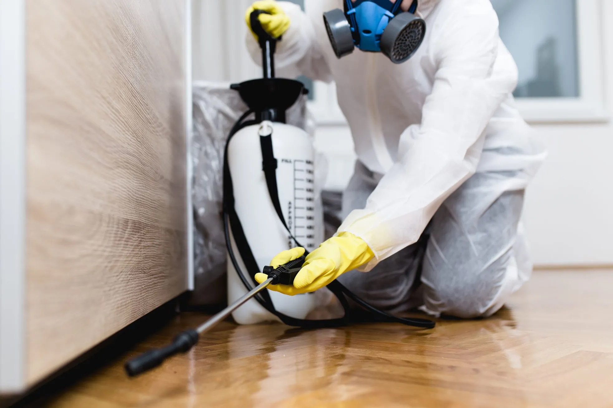 cockroaches pest control dubai 1