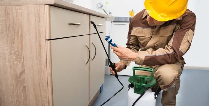 "Professional pest control expert spraying treatment for cockroaches and insects in Dubai home kitchen"