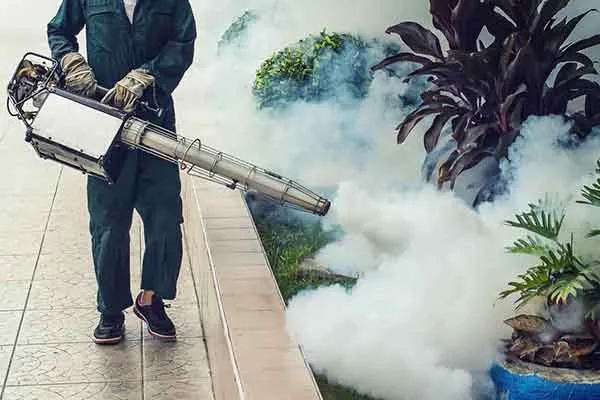 mosquito & fly control dubai 1