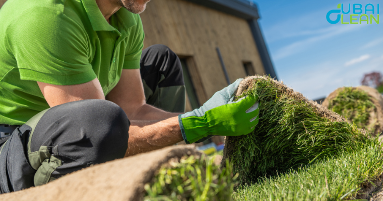 Artificial grass installed in a modern garden for a low-maintenance green look