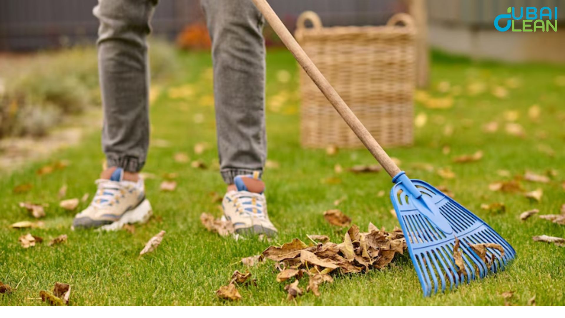 Garden Cleaning
