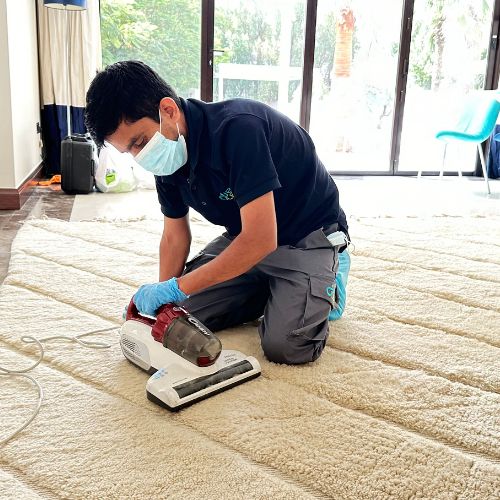 carpet cleaning