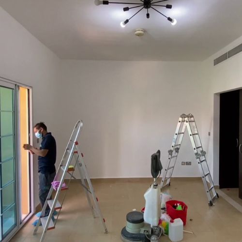 move inout deep cleaning
