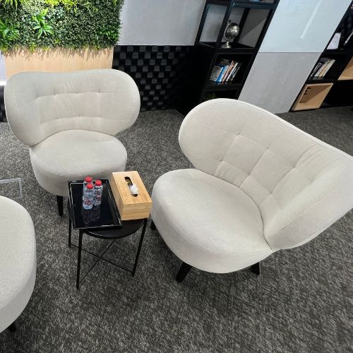 sofa deep cleaning