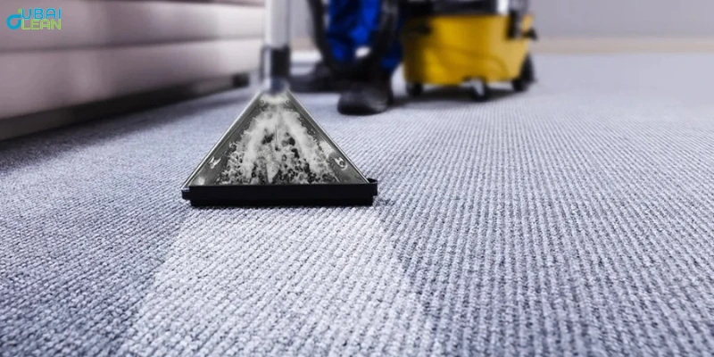 Professional cleaner performing carpet cleaning services with advanced tools in a modern residential living room.