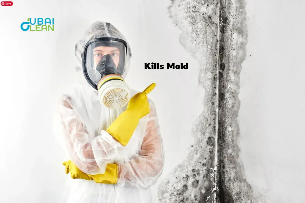 kill mold permanently dcs