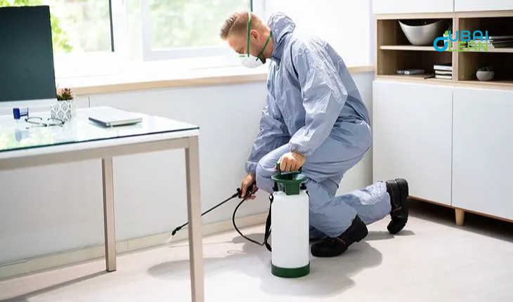 Pest Control Services in Dubai