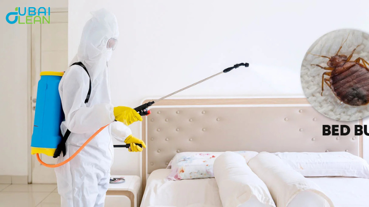 pest control service