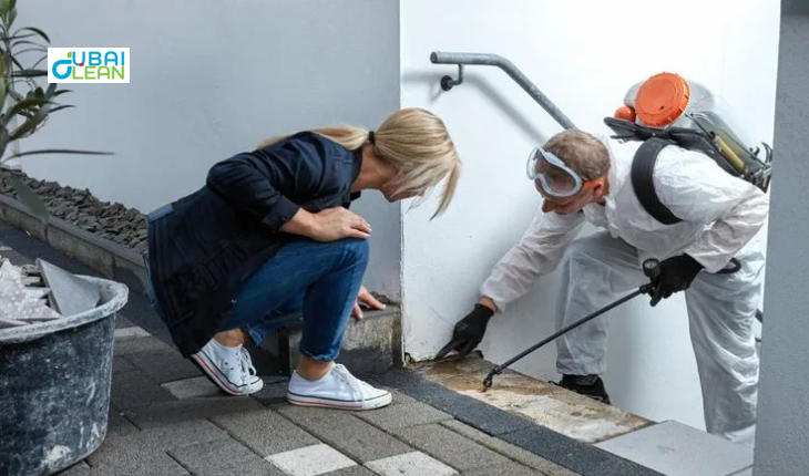 The Hidden Mold Crisis in Dubai’s Luxury Villas—Is Your Home Safe?