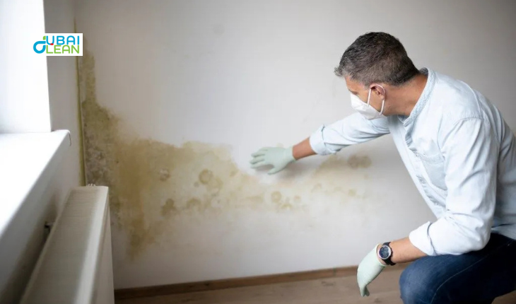 Mold Crisis in Dubai Luxury Villas: Is Your Home Safe?