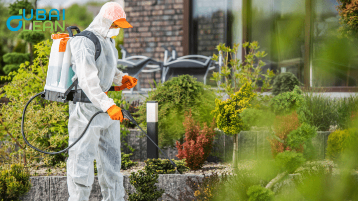 pest control dubai cockroach, 
cockroach control dubai