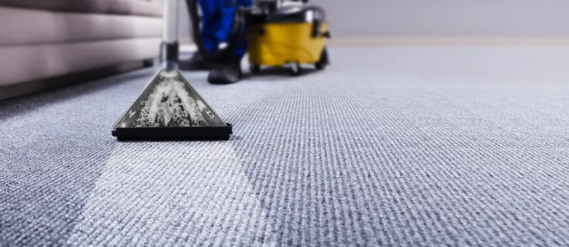 dcs carpet cleaning services sharjah