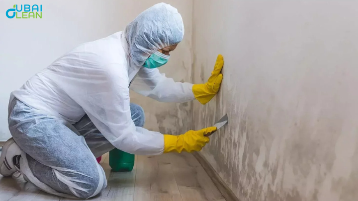 Remove Mold from Walls