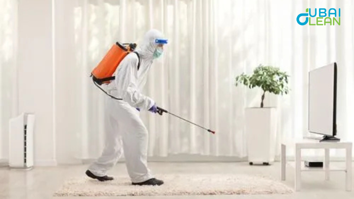 Safe Pest Control for Homes in Dubai | DubaiClean Experts