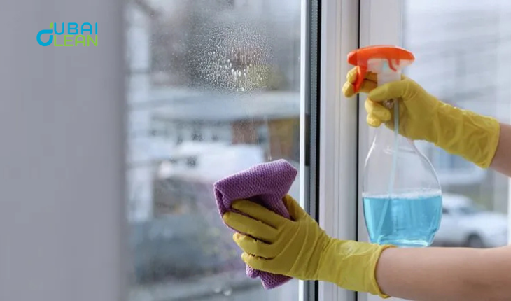 Why Hire Professional Window Cleaning Services?