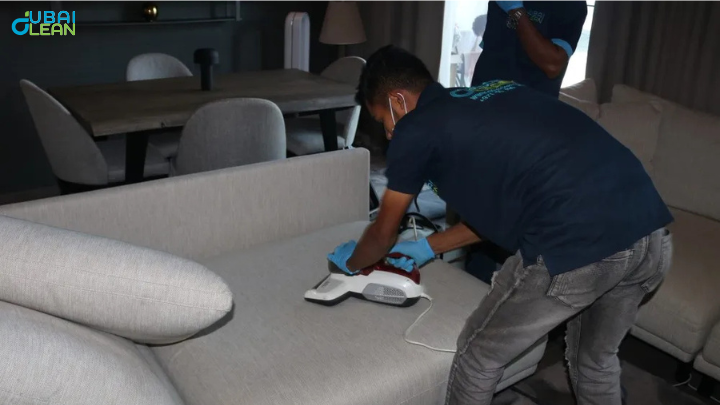 sofa cleaning services 