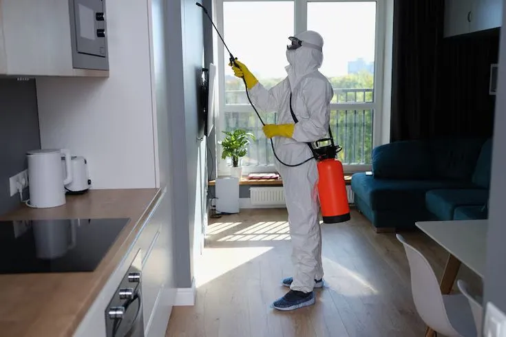 Protect Your Family from Pests Safely | DubaiClean