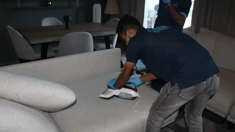 dcs sofa and couch deep cleaning services in dubai