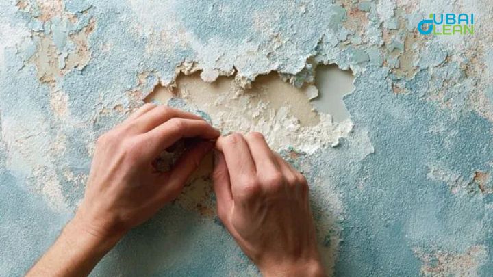 Faded Interior Colors? Stunning Painting in Palm Jumeirah