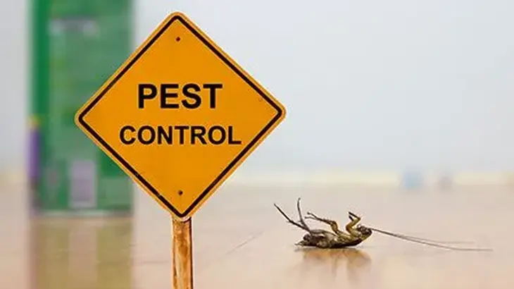 pest control services nad al sheba dcs