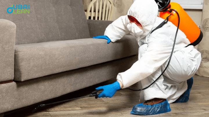 Sofa Cleaning Dubai