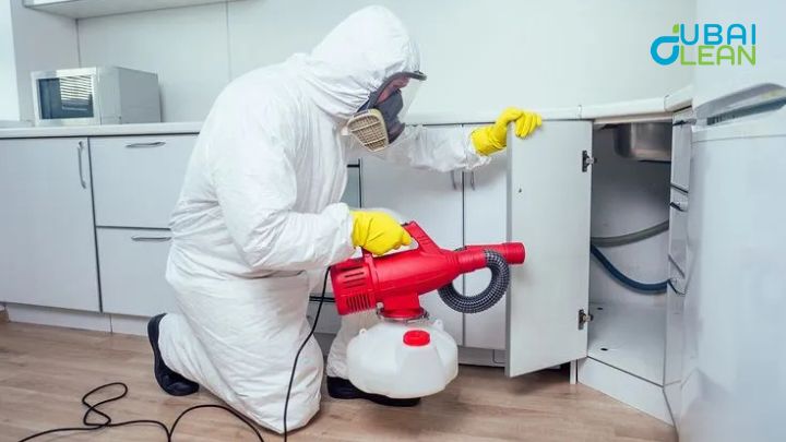 Pest Control for Rats in Dubai