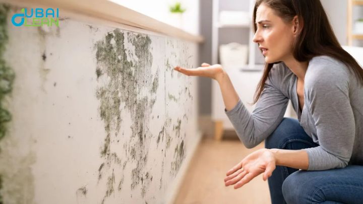 Mold & moisture walls