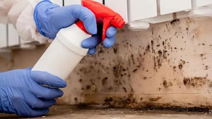  Mold & Moisture Walls? 