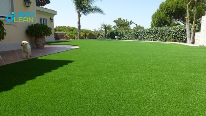 Artificial grass vs natural grass
